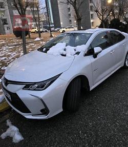 تويوتا كورولا